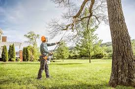 Best Seasonal Cleanup (Spring/Fall)  in Newbern, TN