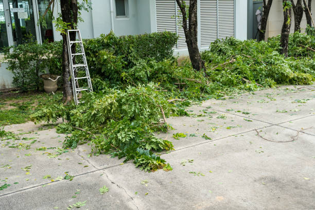 Best Tree Mulching  in Newbern, TN